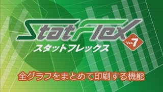 StatFlex I-2 全グラフをまとめて印刷する機能