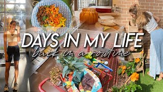 DAYS IN MY LIFE | getting back into a routine, early fall vibes, creating a balcony herb garden!