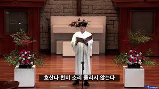 2021.11.21 주일예배 | 헌금송(장민서 교우) - 거룩한 성 (The Holy City) - S. Adams