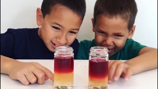 Delicious Density Experiment - fun kids activity