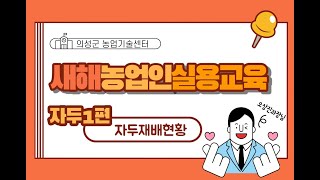 2021 비대면 새해농업인 실용교육 - 자두 재배기술 1편