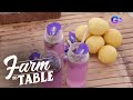 How to Make Blue Ternate Lemonade | Farm To Table