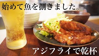 最高の包丁を頂いたので〜アジを捌く〜【アジフライで乾杯】