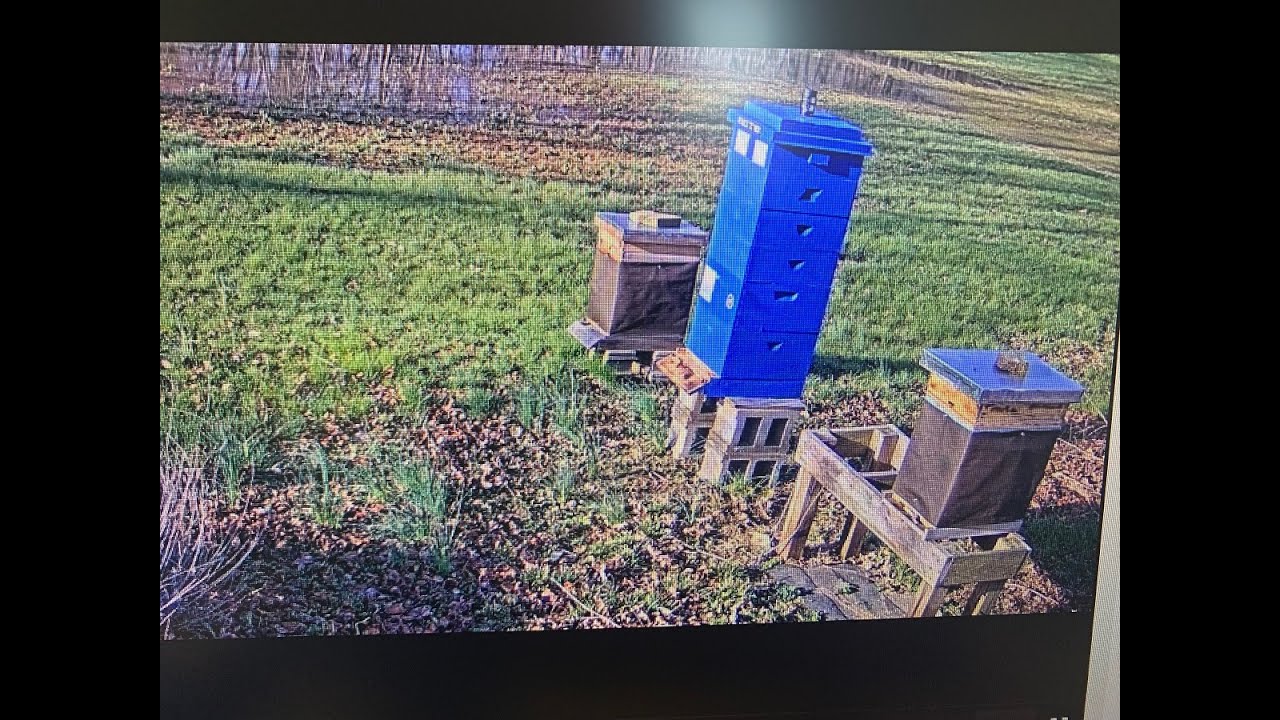 Hive Test Youtube