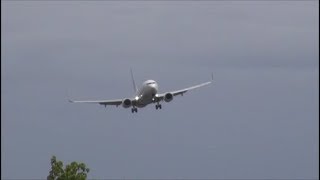 強風着陸 翼をここまで振られ一気にタッチダウン JAL B737 Rwy16R 成田空港さくらの山 nrthhh