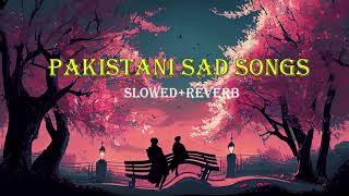 Slow Pakistani Sad Song With Reverb