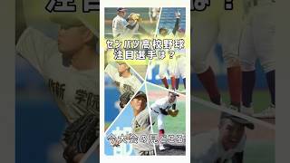 【センバツ高校野球注目の選手は？】