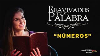 Reavivados por su Palabra - Números 27