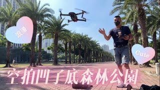 ￼透過空拍機的鏡頭！分享高雄『凹子底森林公園』！￼面積有10公頃喔！￼目前花海盛開！生態池面積有4000多平方公尺！有很多野鳥！白鷺鷥！￼綠頭鴨！烏龜小魚小蝦都有！是非常完整的生態！旁邊還有超大溜冰場