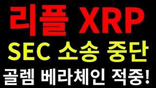 리플 XRP SEC 소송중단 연장? 골렘 베라체인 수익 미쳤다!!