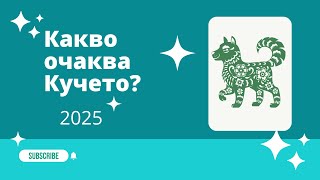 Какво очаква Кучето през  2025