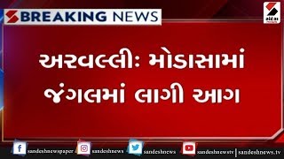 Aravalli : મોડાસામાં જંગલમાં લાગી આગ ॥ Sandesh News TV | Cyclone Tauktae