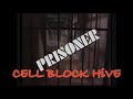 PRISONER CELL BLOCK HiVE