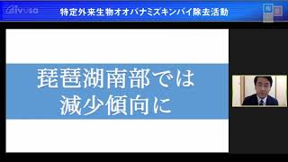 NPO法人国際ボランティア学生協会（IVUSA）オンライン活動報告会2021　特定外来生物オオバナイズキンバイ除去活動に関する活動報告