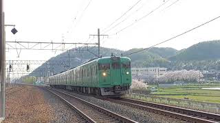 113系研磨(試運転)島本駅通過