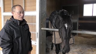 【有馬記念】シャケトラ・角居勝彦調教師　そろそろ眠れる猛虎が目覚めるか