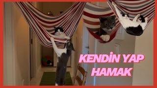 SÜPRİZ SONLU KEDİ HAMAĞI VLOG