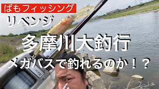 リベンジ多摩川大釣行 メガバスルアーを使いたおせ！【ばもフィッシング】