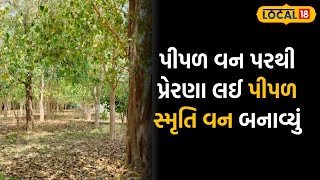 Banaskantha news | ઉનાળાની કાળઝાળ ગરમીથી રાહત આપશે આ વન, દૂર-દૂરથી લોકો આવે છે ફરવા | #local18