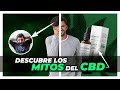 Cannabis medicinal (cbd) | Beneficios y perjuicios reales de su consumo