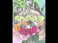 【養胖短片】高雄最強莓果碗在這！充滿海島風情的美味餐廳！來這享受滿滿的度假感吧~