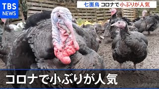 七面鳥はＳサイズが人気、コロナ禍の英クリスマス