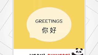 Greetings in Mandarin Chinese | 中文问候用语 | Practical Vocabulary Series| 单词系列