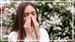 Experts share tips to tackle spring allergies