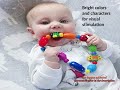 Nuby Bug A Loop Teether Colors May Vary