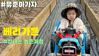 #유준아가자 Ep6. 다양한 농촌체험과 놀거리가득 \