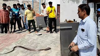 यूवक बैठा कुर्सी पर पिछे से आ गया कोबरा सी सी टी वी में कैद///स्नेकमैन सतीश फफड़ाना (9255130130)