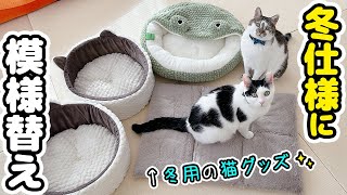 寒くなったので暖かグッズを出したら愛猫たちの反応が意外すぎた