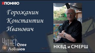 Горожанин Константин Иванович.  Проект \