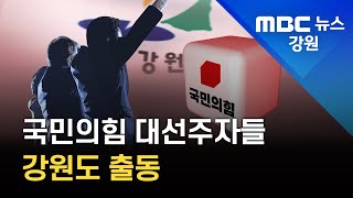 [뉴스리포트] 국민의힘 대선주자들 '강원도 올인' 211027