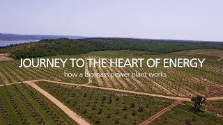 Journey to the heart of Energy - How a biomass power plant works