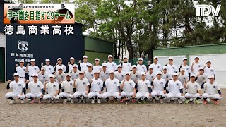 甲子園目指す29チーム　徳島商業高校　2023年全国高校野球徳島大会