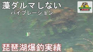 これが原点だ！藻だるましないスーパースポット　琵琶湖爆釣メソッド公開　ABSバス釣り動画　Cotton Cordell Super Spot