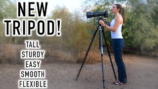 How is This Sturdy Tripod So Easy to Use?! The NEW YC Onion PINETA Peak Tripod