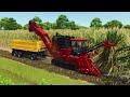 harvest load and transport barley with deutz tractors farming simulator 25