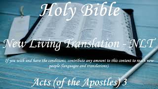 English Audio Bible - Acts of the Apostles 3 - New Living Translation NLT