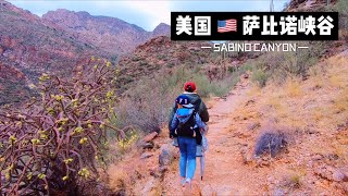 凯文宝贝的房车生活｜29集｜美国萨比诺峡谷Sabino Canyon｜亚利桑那州｜Kevin’s Vanlife