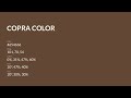 copra color 654636 hex color brown color cool color 654636