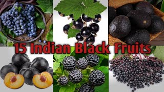 15 Indian Black Fruits | Indian Black Fruits | Black Fruits