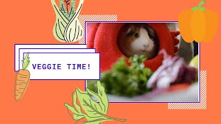 (ˆ(oo)ˆ)  guinea pigs eat vegetables for 2 minutes straight! (monch)