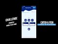 Fishcoin App - How to play