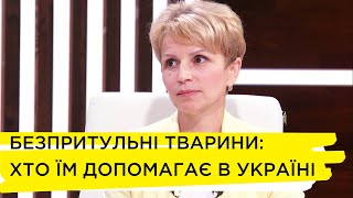 Взяти тварину з притулку: чому це важливо і що для цього потрібно