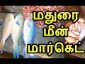 Madurai Karimedu Fish Market | Madurai Meen Market