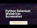 python selenium webdriver screenshot