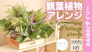 【100均DIY】ダイソーのフェイクグリーンで観葉植物アレンジ/Arrange foliage plants with Daiso's fake green🌿