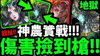 【神魔之塔】神農實戰『好浮誇の增傷！』傷害終於正常！【贖罪的苦行 地獄級】【阿紅實況】